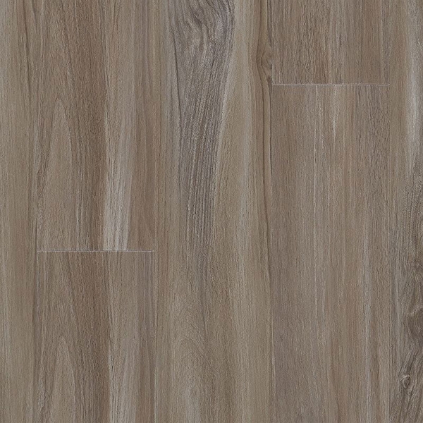 Picture of Aladdin Commercial - Thung Street Dolphin