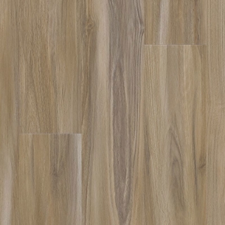 Picture of Aladdin Commercial - Thung Street Sandy Valley