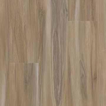 Picture of Aladdin Commercial - Thung Street Sandy Valley