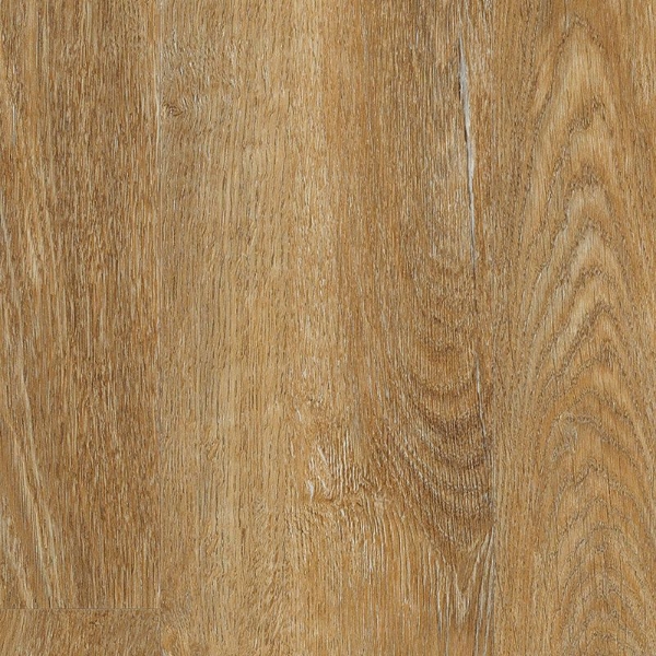 Picture of Aladdin Commercial - To Tich Street Richmond Gold