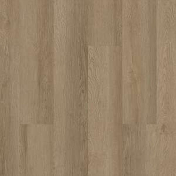 Picture of 5th and Main - Alba Reserve 20 Ohlone Oak