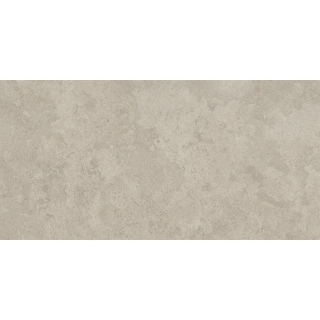 Picture of Caesar Ceramic - Pathway 24 x 48 Wind