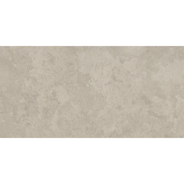 Picture of Caesar Ceramic - Pathway 24 x 48 Wind