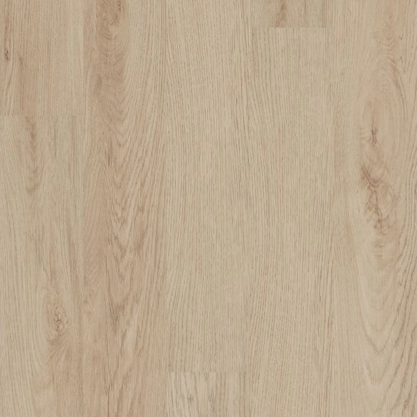 Picture of 5th and Main - Alba Reserve 12 Sand Dune