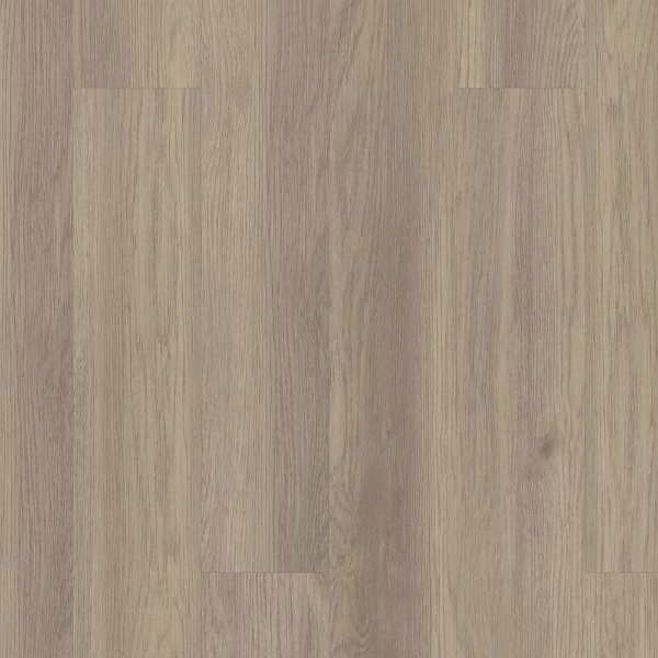 Picture of 5th and Main - Alba Reserve 20 Willow Oak