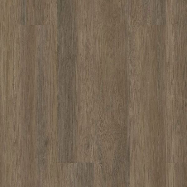 Picture of 5th and Main - Alba Reserve 20 Native Pecan