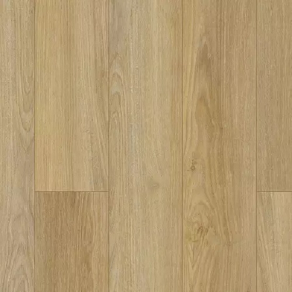 Picture of Aladdin Commercial - To Tich Street Coffee House Tan