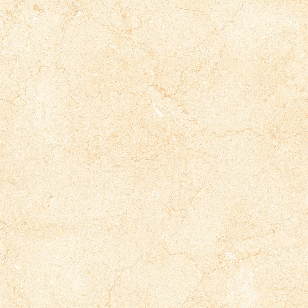 Picture of Tesoro - Bejha 12 x 24 Fiorito Polished