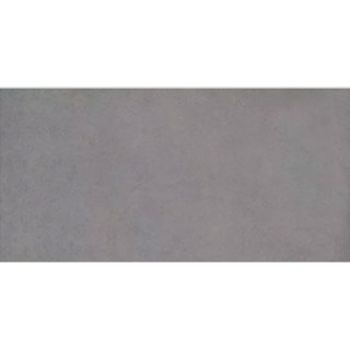 Picture of Milestone - Urban Living 24 x 48 Matte 8mm Mist Grey