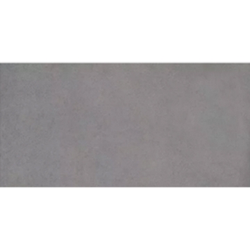 Picture of Milestone - Urban Living 24 x 48 Matte 8mm Mist Grey