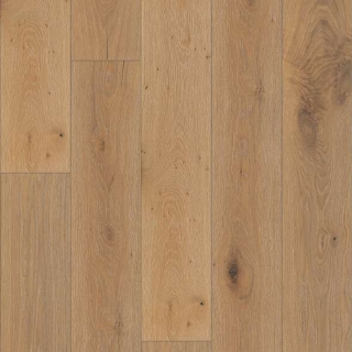 Picture of Shaw Floors - Expressions 9.5 Fresco