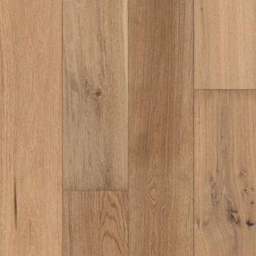 Picture of Tmbr. - Big Sur Sunset Coast