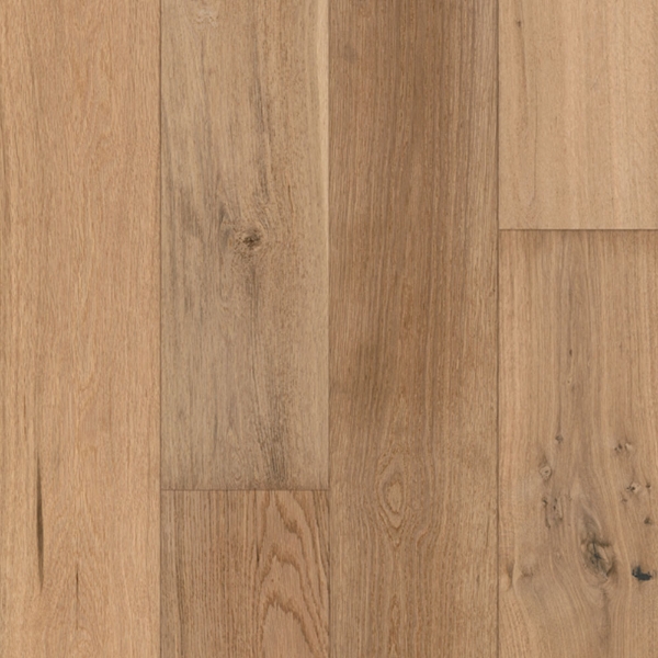 Picture of Tmbr. - Big Sur Sunset Coast