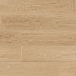 Picture of Johnson - Cellar House Barbera