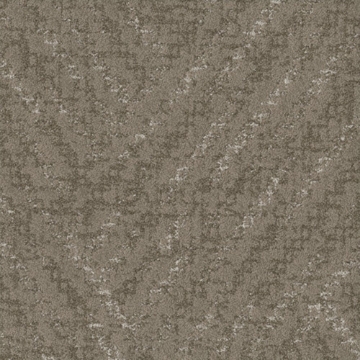 Picture of Shaw Contract - Chisel Clay