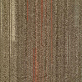 Picture of Shaw Contract - Visible Aspect