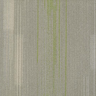 Picture of Shaw Contract - Visible Optics