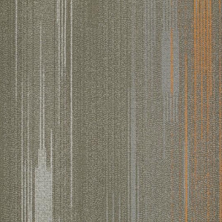 Picture of Shaw Contract - Visible Pixel