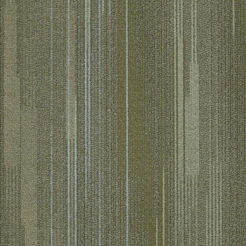 Picture of Shaw Contract - Visible Aurora