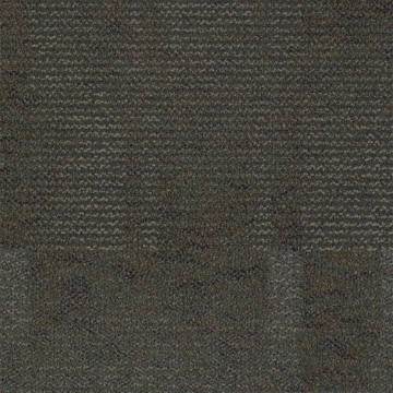 Picture of Shaw Contract - Color Play Urban Jungle