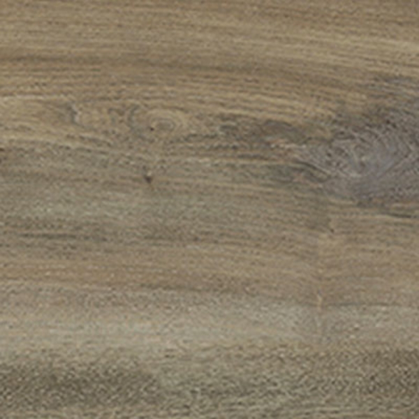 Picture of Six Degrees - Radius 2.0 7 x 47 Taylor Taupe