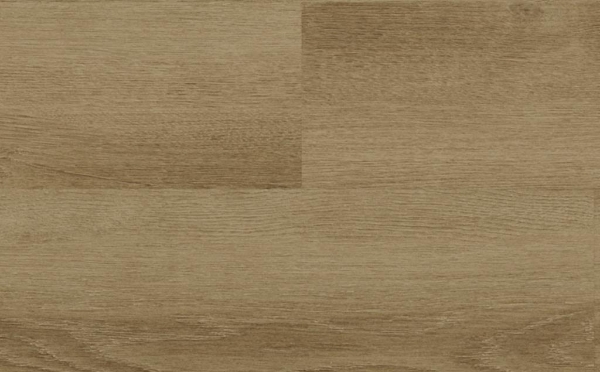 Picture of Audacity - Audacity One Cline