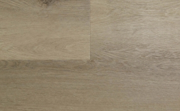 Picture of Audacity - Audacity One Mauldin