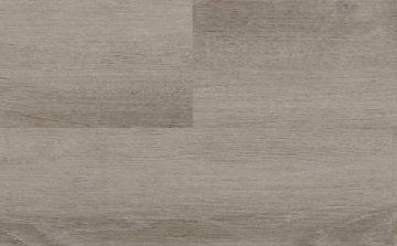 Picture of Audacity - Audacity One Noland