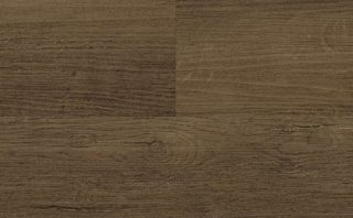 Picture of Audacity - Audacity One Trimble