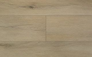 Picture of Audacity - Audacity One Ellington