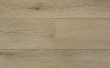 Picture of Audacity - Audacity One Ellington