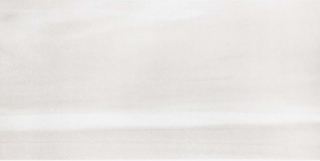 Picture of American Wonder Porcelain - Winter Stone 12 x 24 Ice White Matte