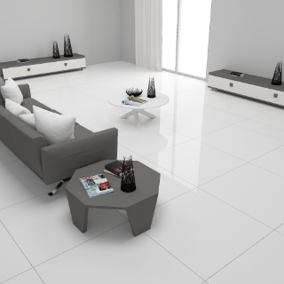 Picture of Tesoro - Delhi 24 x 24 Polished Arctic White