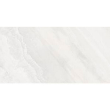 Picture of Tesoro - Delray II 12 x 24 Alaska Polished