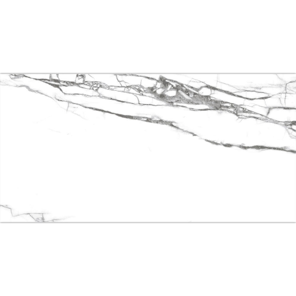 Picture of Tesoro - Dendric Statuary Polished