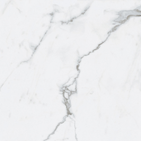 Picture of Roca - Bianco Venatino II 24 x 24 Polished Bianco Venatino