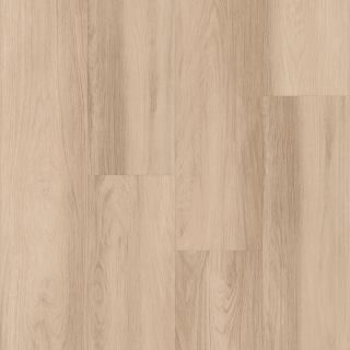 Picture of Azalea Lane - Park Pisgah