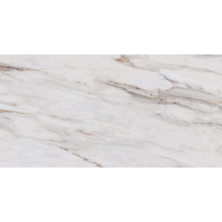 Picture of Roca - Calacatta Gold 24 x 48 (New Packaging) Calacatta Gold Polished