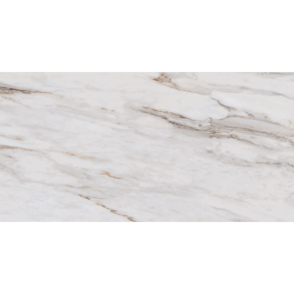 Picture of Roca - Calacatta Gold 24 x 48 (New Packaging) Calacatta Gold Polished