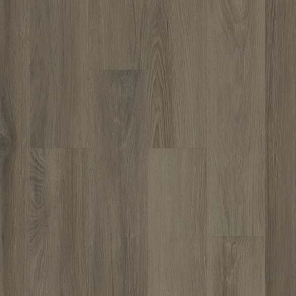 Picture of Philadelphia Commercial by Shaw - Silva Valley 5.0 Yaquina Bay