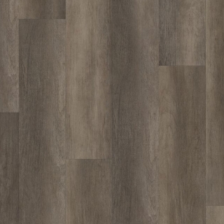 Picture of Philadelphia Commercial by Shaw - Philosophers Tree Bronze