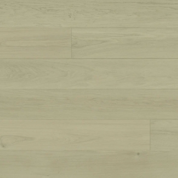 Picture of Monarch Plank - Regent Isabella