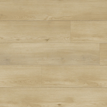 Picture of Republic - Sierra Boggs