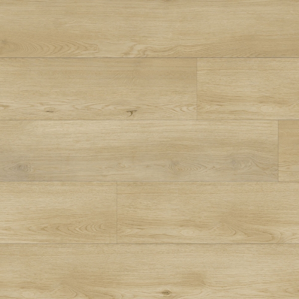 Picture of Republic - Sierra Boggs