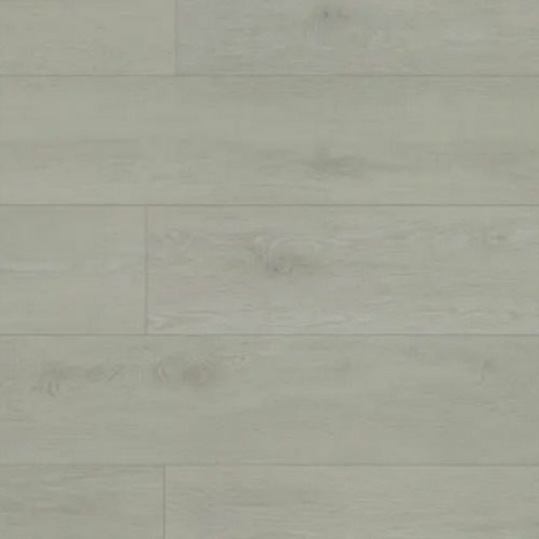 Picture of Nuvelle - Aqua-Safe Pampas