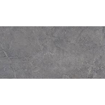 Picture of Tesoro - Evolution 24 x 48 Titanium