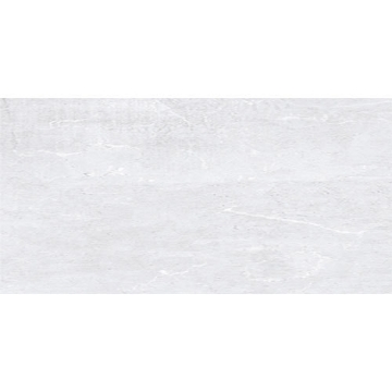 Picture of Tesoro - Origin 12 x 24 Silver