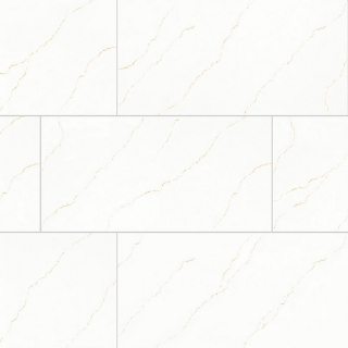 Picture of MS International - Miraggio 24 x 48 Gold Polished