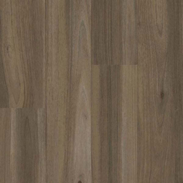 Picture of Armstrong - American Charm 12 Northhamptonshire Bear Brown