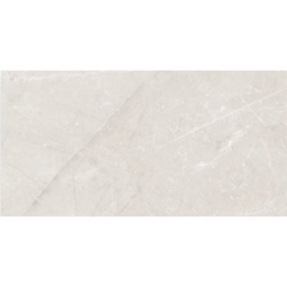 Picture of Roca - Jewels 12 x 24 Etienne Light Gray Polished